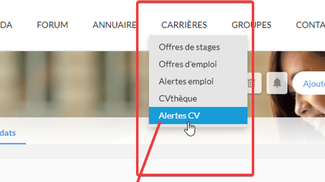 Pourquoi vous devriez créer une alerte CV sur la plateforme Alumni ?
